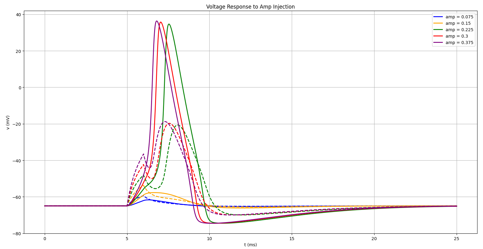 Current Injection Simulation in Neuron Cell Bodies